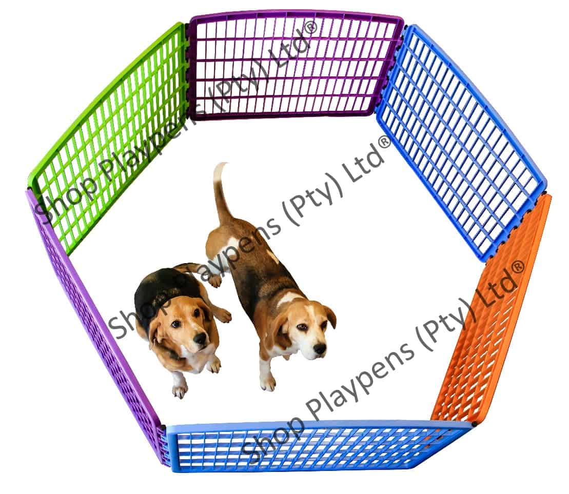 Multicoloured pet playpen WITH extension kit® [Plastic] (1.3m x 1.3m x