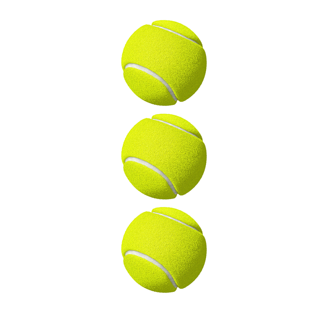 Dog Ball Thrower with Tennis Ball (65 x 5cm) - Image 5