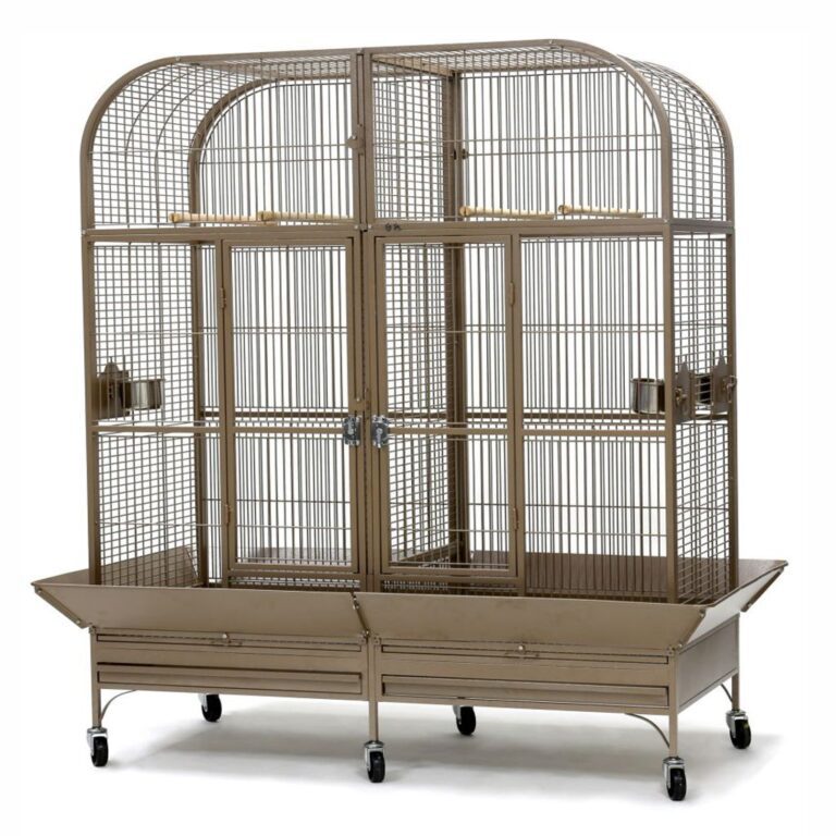 Curated visual reference: 2 In 1 Parrot Cage 200 5 X 100 5 Photo Inspiration