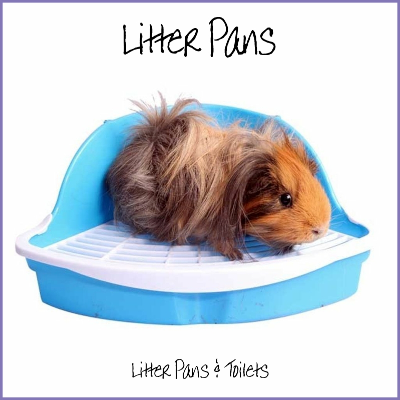 Litter Pans & Toilets