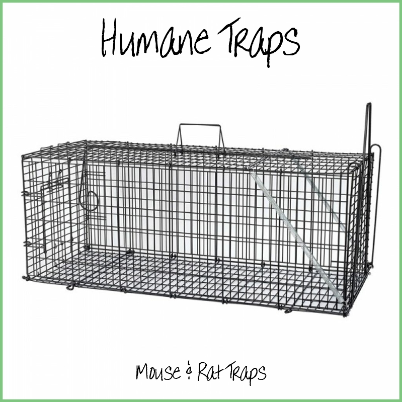 Mouse & Rat Traps
