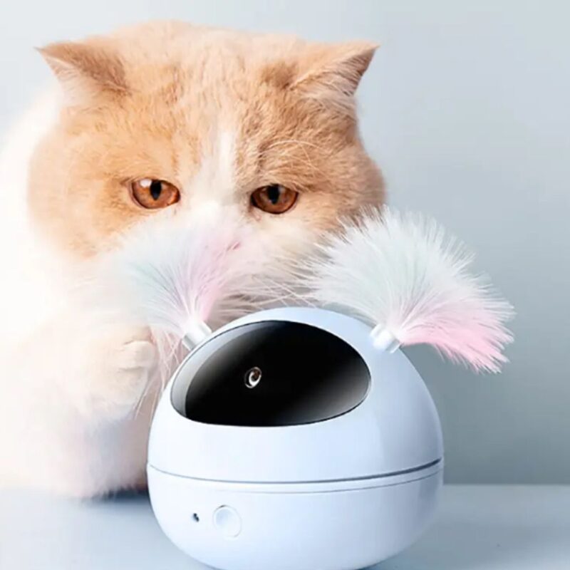 The Ultimate Kitty Play Station (8.9 x 8.9cm) - Image 2