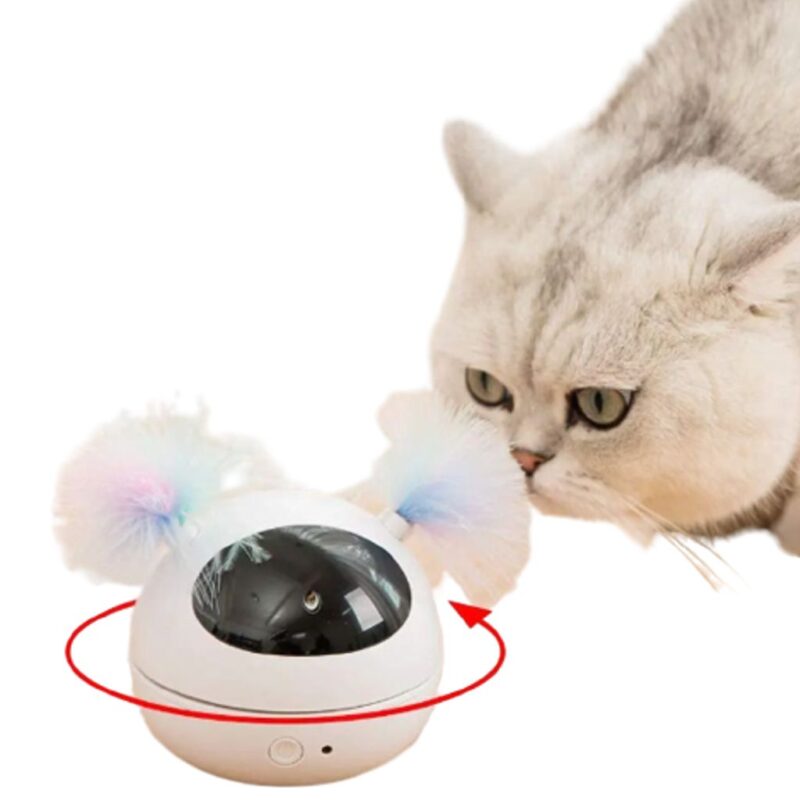 The Ultimate Kitty Play Station (8.9 x 8.9cm)