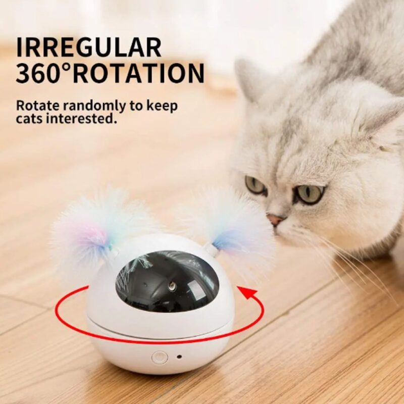 The Ultimate Kitty Play Station (8.9 x 8.9cm) - Image 4