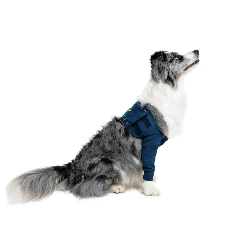 MPS – Veterinary Range Single Sleeve DOG - Image 3