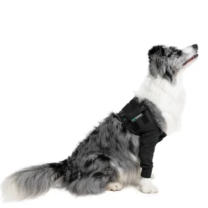 Suitical – at home Recovery Double Sleeve – DOG - Image 4