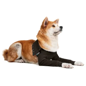 Suitical – at home Recovery Double Sleeve – DOG - Image 3