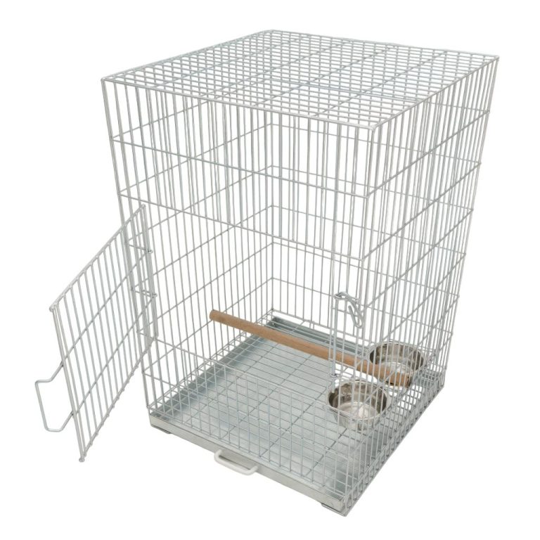 View of Budget Parrot Cage (50 x 50 x 75cm – 50 x 100 x 95cm) – Shop Playpens